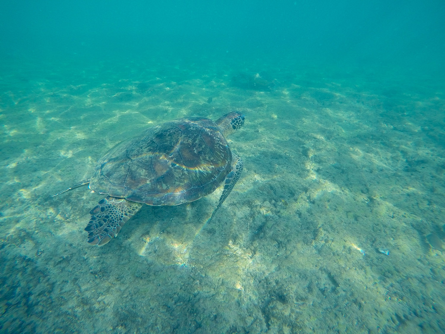 Fernando de Noronha