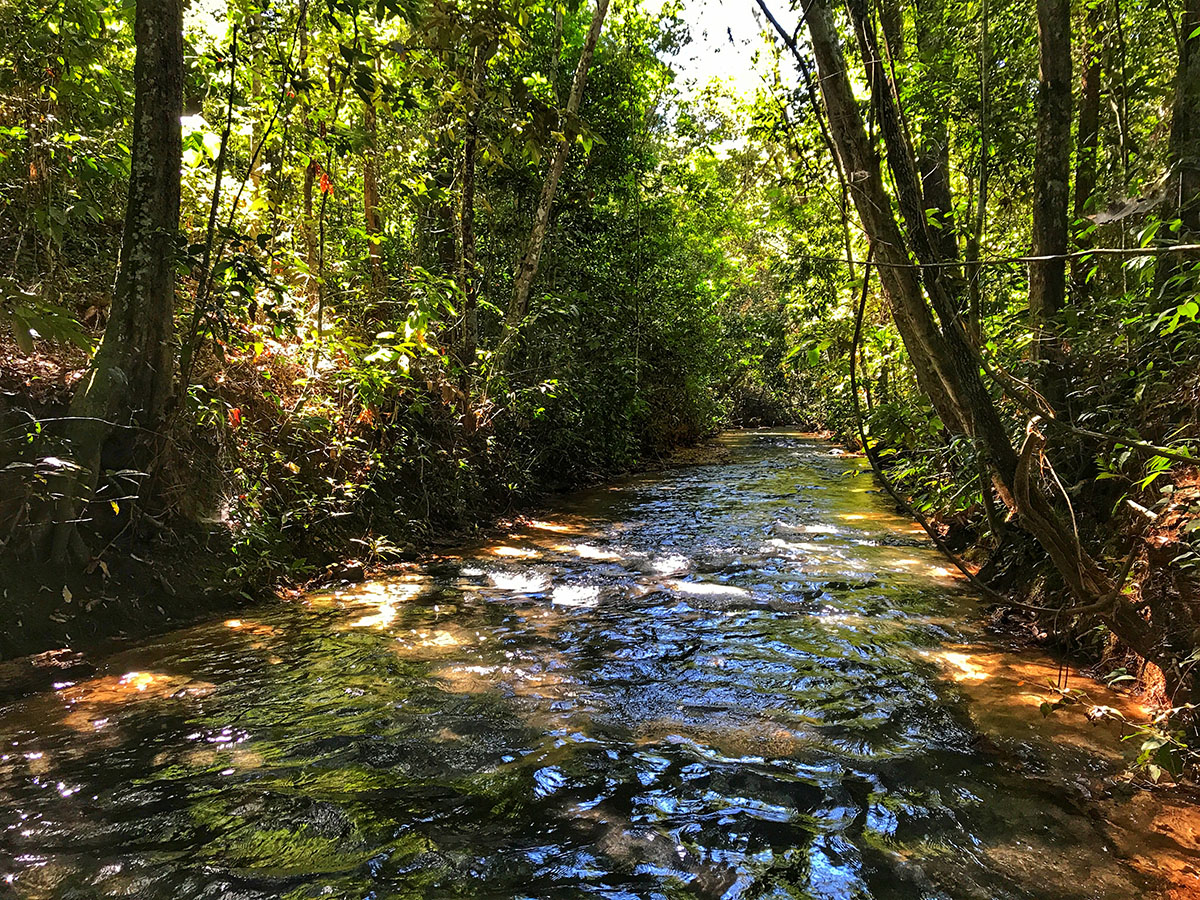 Rondonópolis (Brasil) O que fazer em um final de semana 3em3 Vídeos de Viagem e Turismo Rondonópolis (Brasil) O que fazer em um final de semana 3em3 Vídeos de Viagem e Turismo