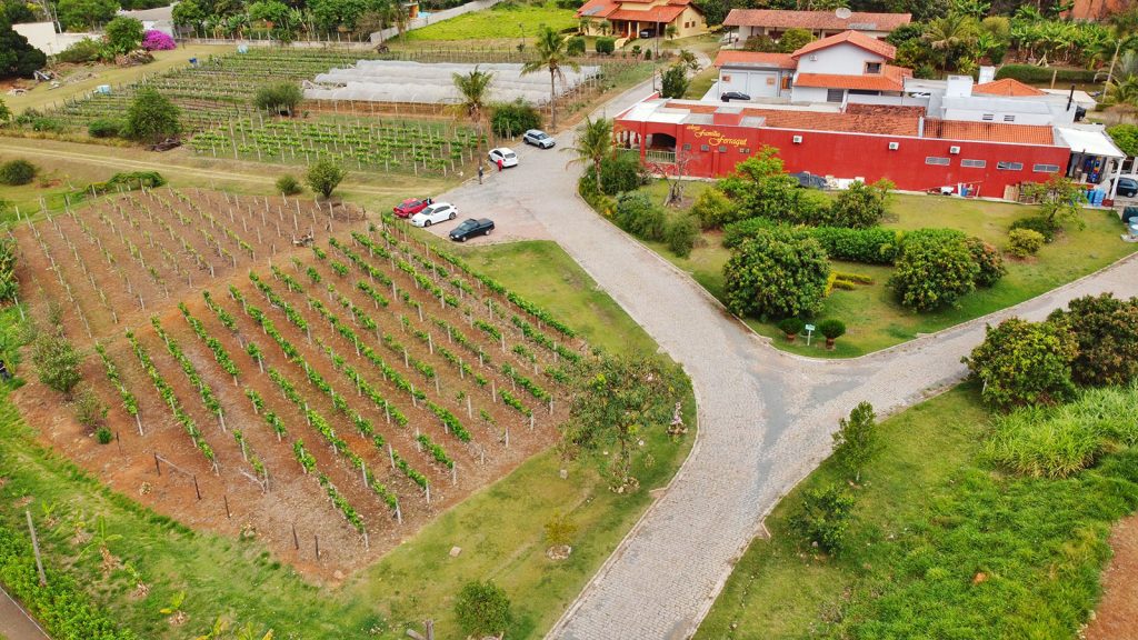 Adega Família Ferragut - Vinhedo