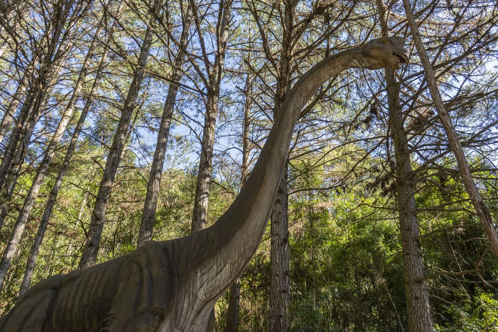 3 parques temáticos em Canela/RS: Vale dos Dinossauros - Melhores passeios de Gramado
