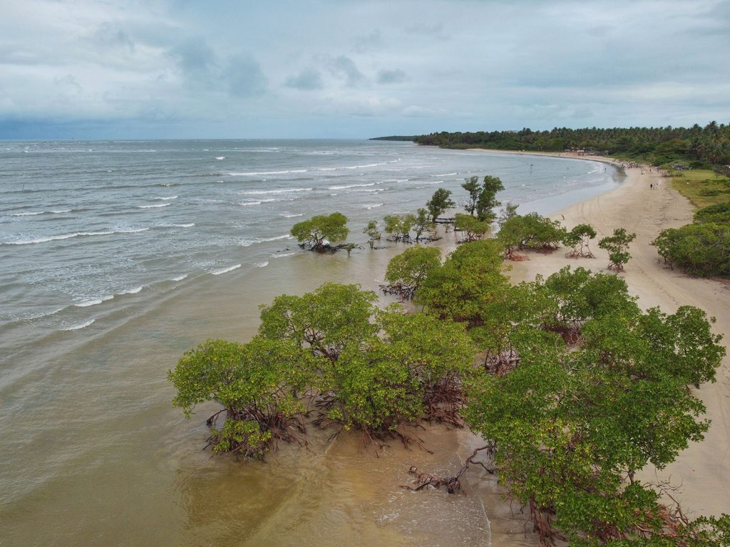 Morro de SP - Quinta Praia