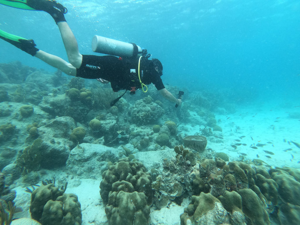 Mergulho Goby Divers - Curaçao
