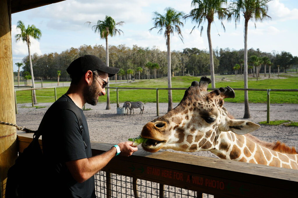 Girafas - Wild Florida