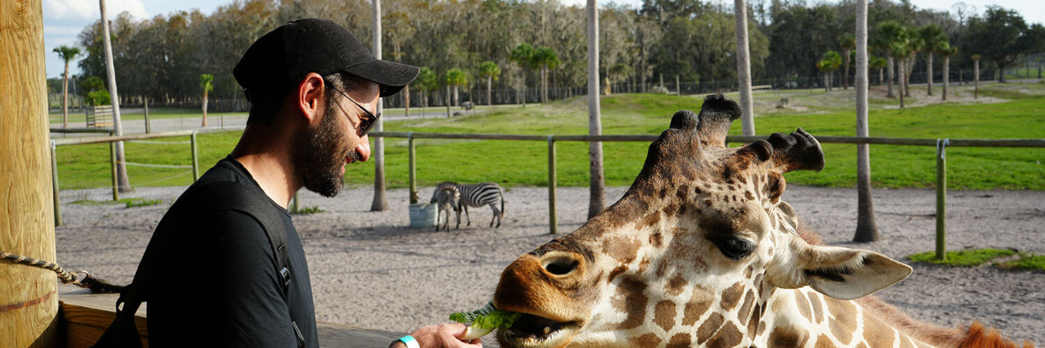 Wild Florida - kissimmee - girafa