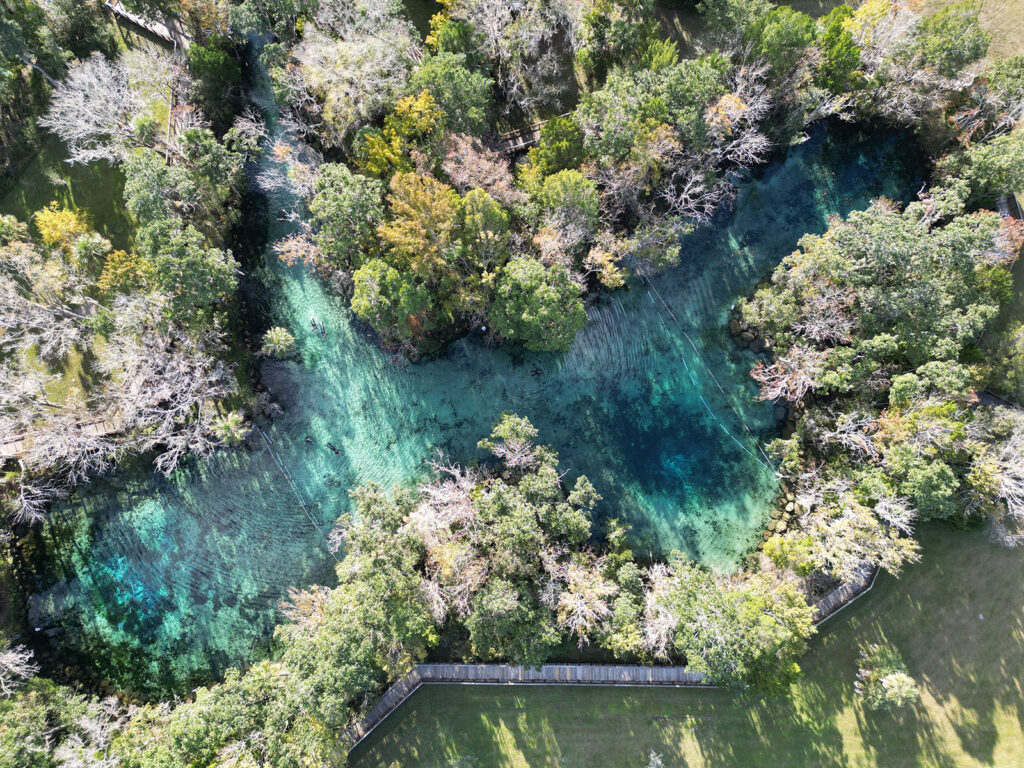 O que fazer e como chegar em Crystal River, o paraíso dos manatees! »  Destinos Imperdíveis