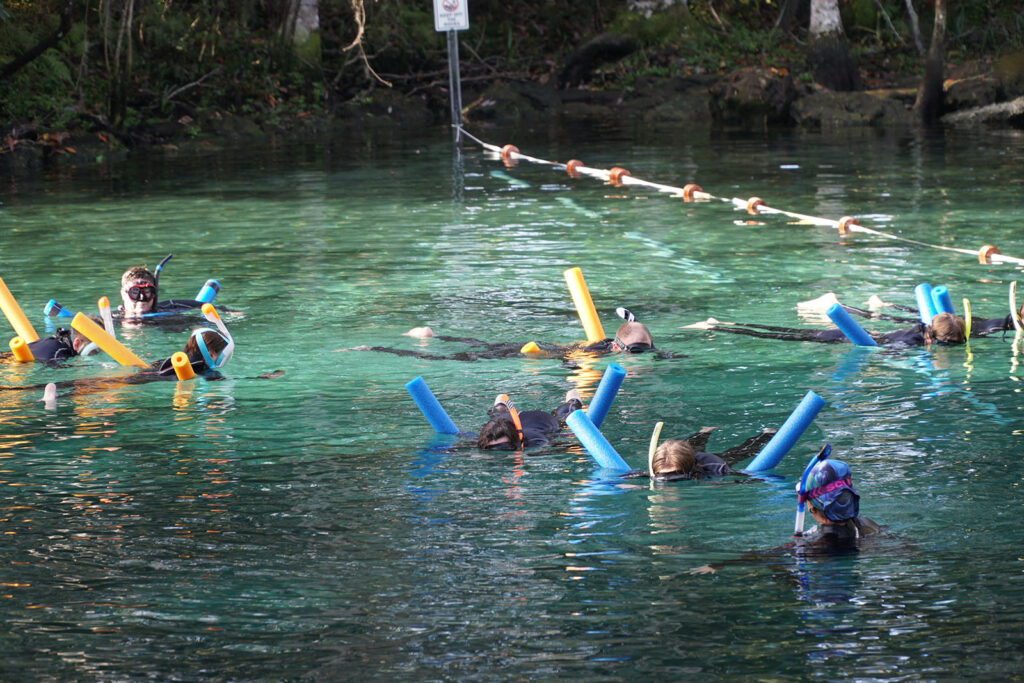 Three Sisters Springs - Crystal River