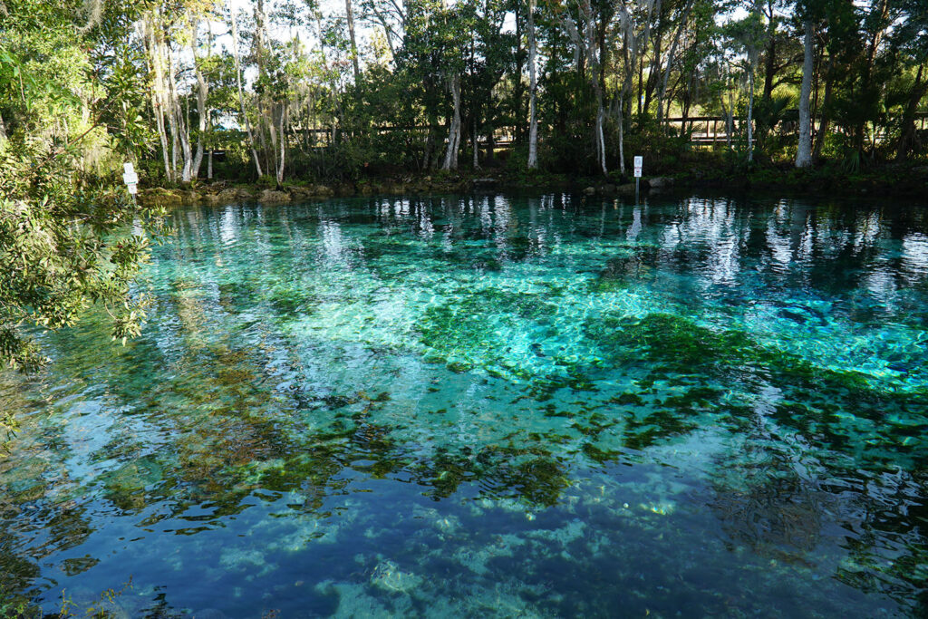 Three Sisters Springs - Crystal River