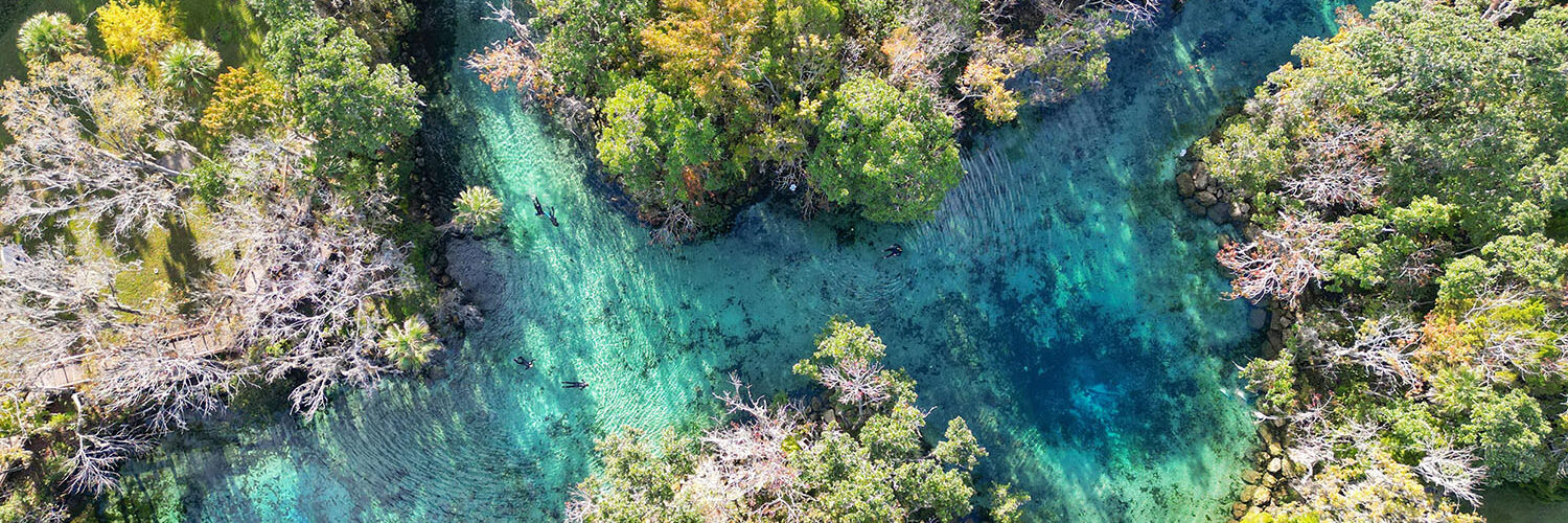 Crystal River - Florida