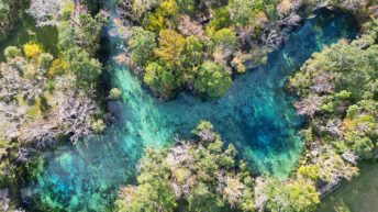 Crystal River - Florida