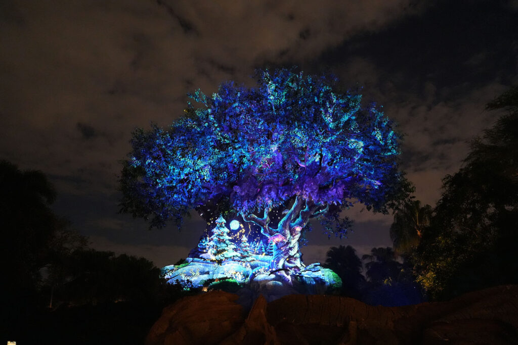 Disney - Tree of Life - Animal Kingdom