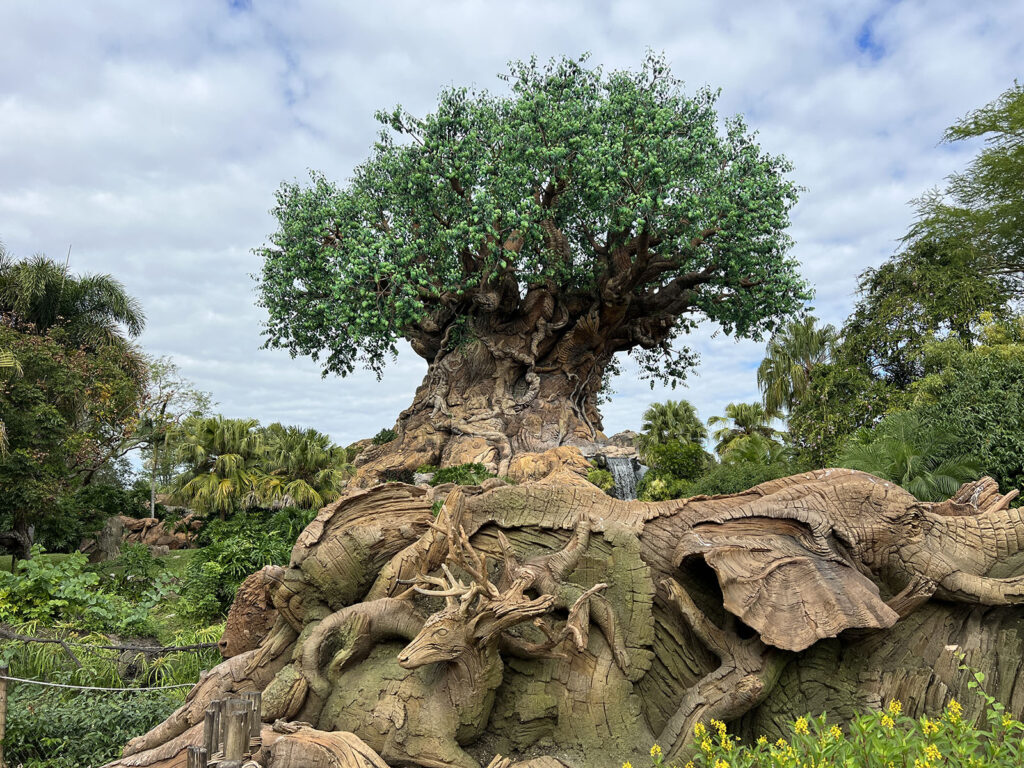 Disney - Tree of Life - Animal Kingdom