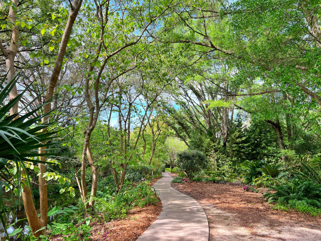 Kanapaha Botanical Gardens - Gainesville - 3em3