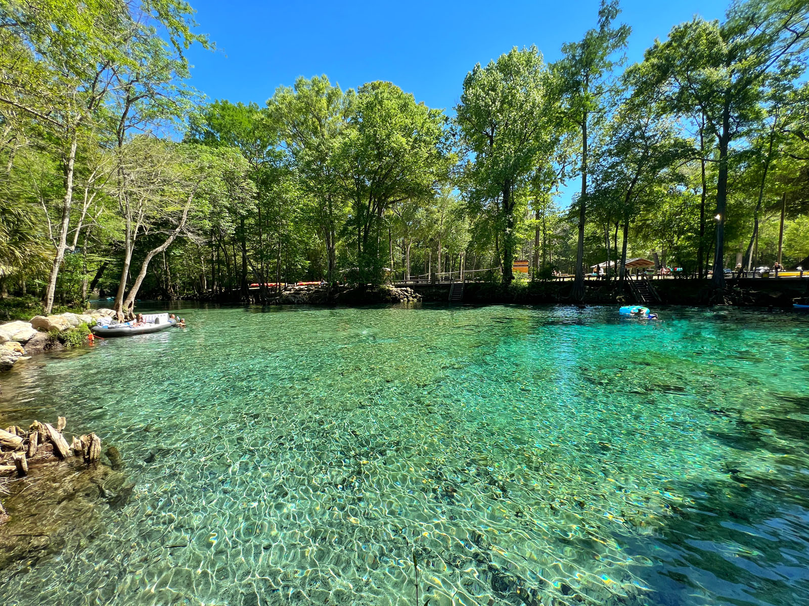 Gainesville O que fazer em Ginnie Springs
