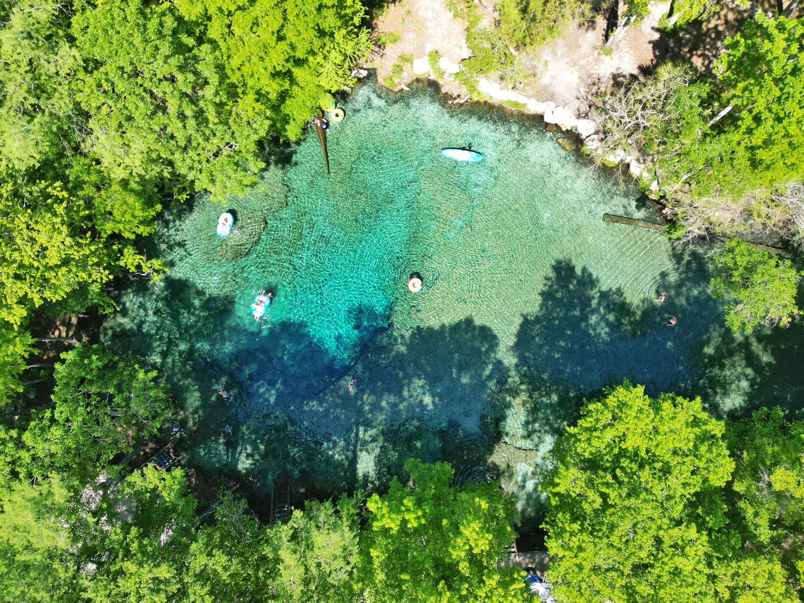 Gainesville O que fazer em Ginnie Springs
