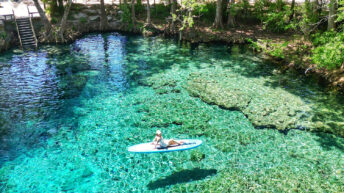 gainesville-ginnie springs - 3em3