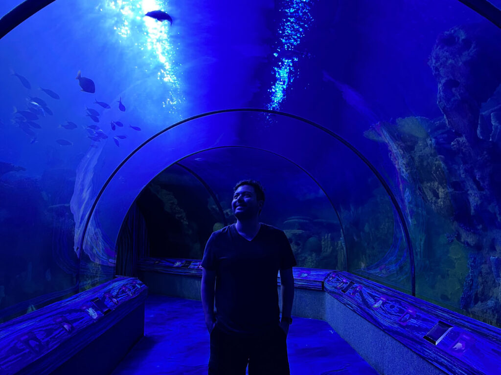 shark encounter tunnel - sea world - orlando