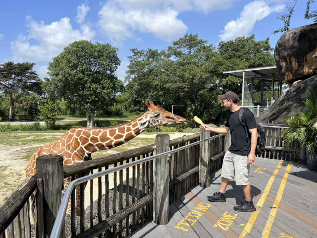girafas miami zoo