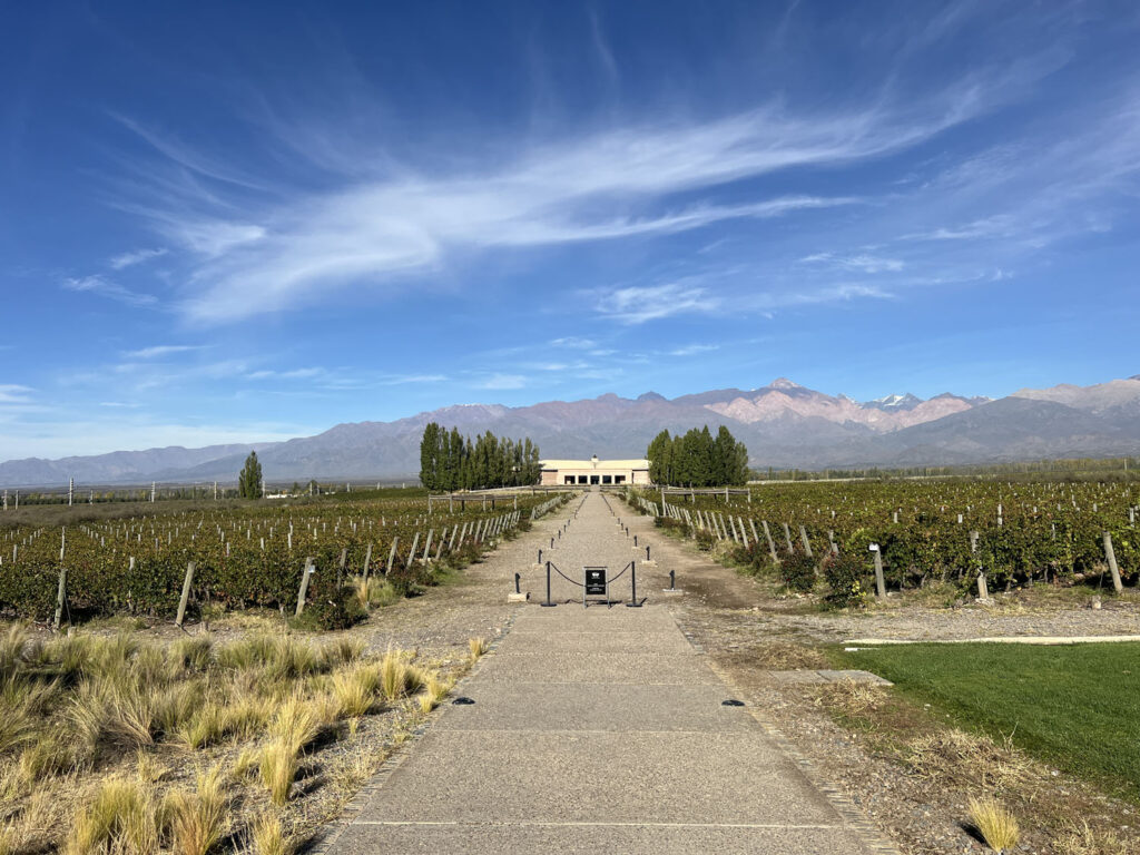 salentein bodega mendoza argentina vinicola