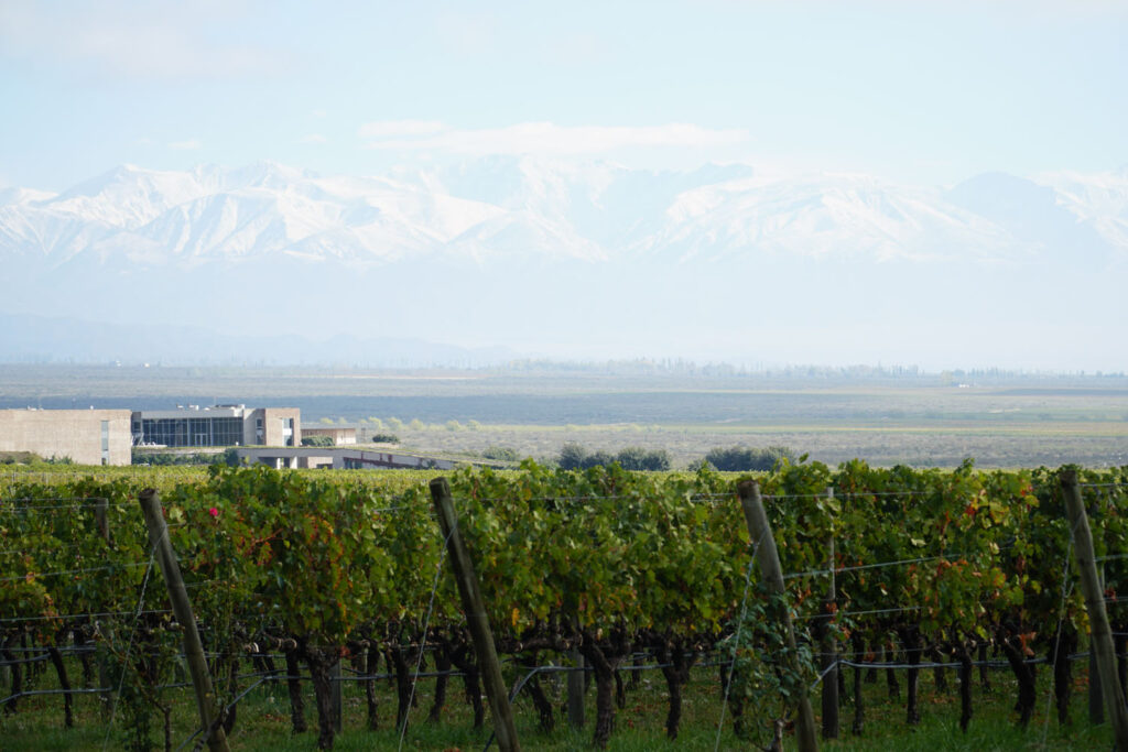 bodega monteviejo clos de los 7 mendoza 3em3 argentina