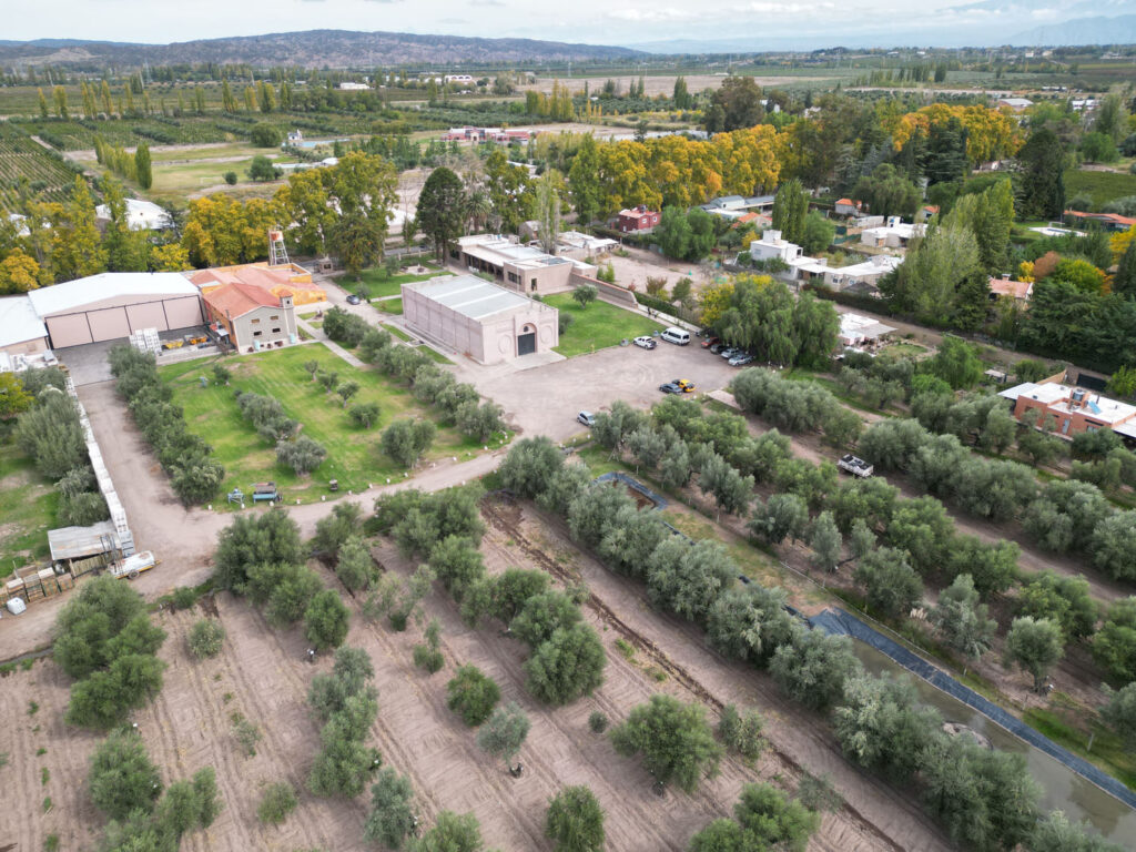 laur olivicola bodega mendoza 3em3 argentina