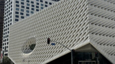 the broad