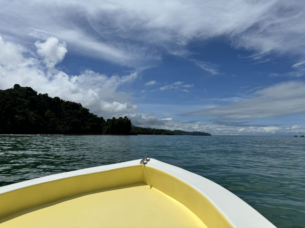 quepos marino ballena barco passeio paseo costa rica