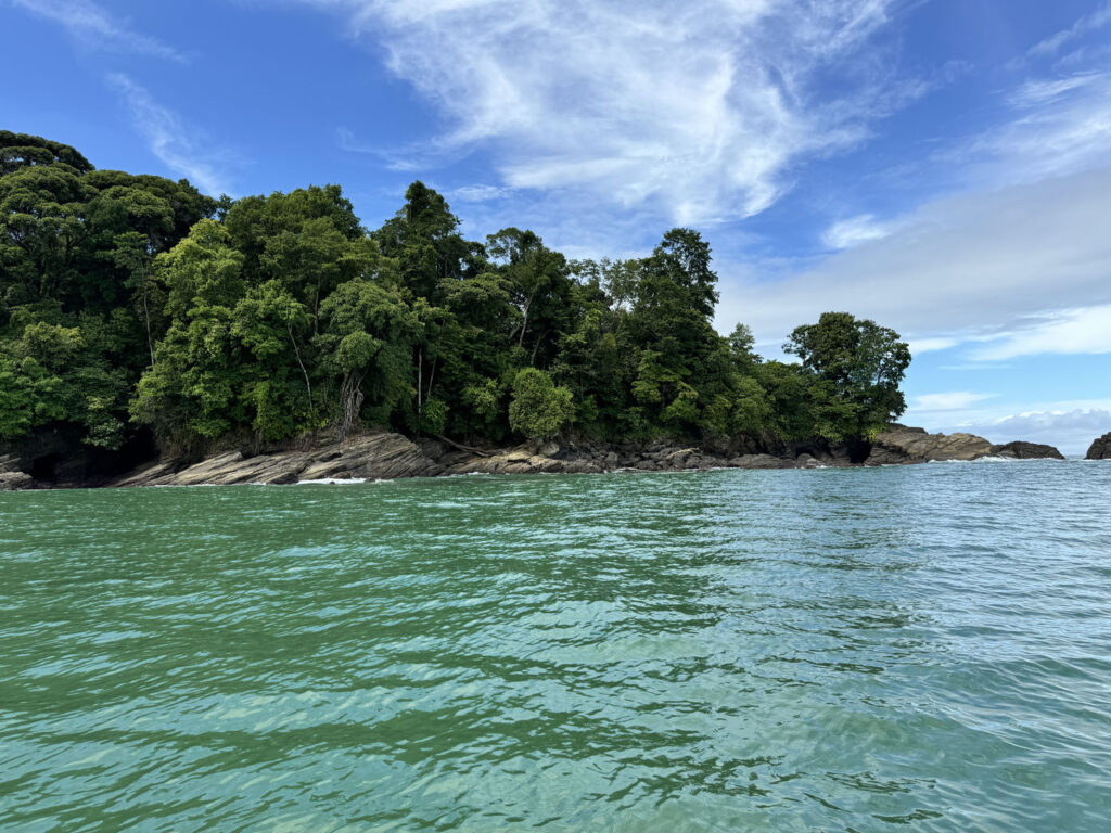 quepos marino ballena barco passeio paseo costa rica