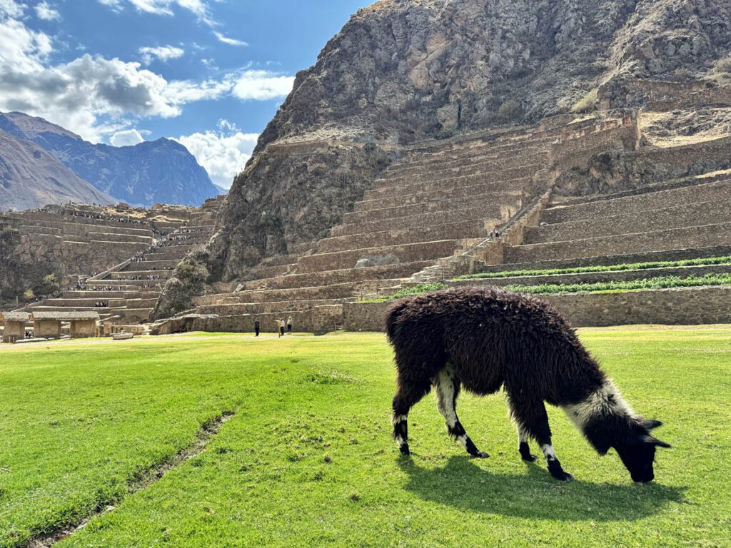 valle sagrado vip ollantaytambo 3em3 cusco peru