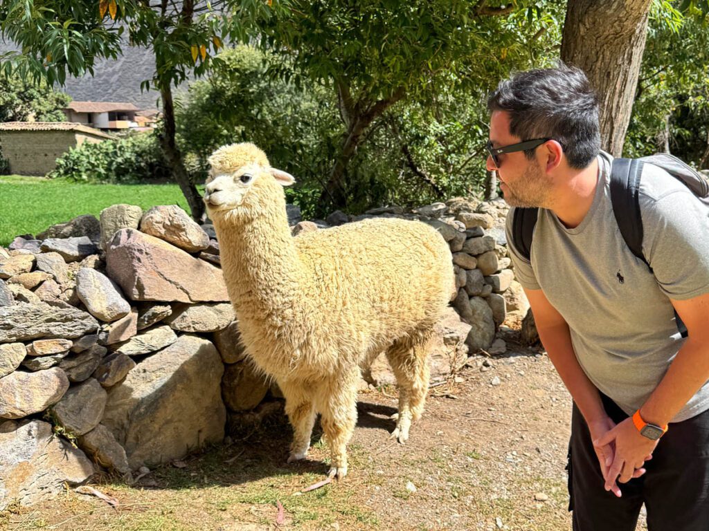 valle sagrado vip ollantaytambo 3em3 cusco peru