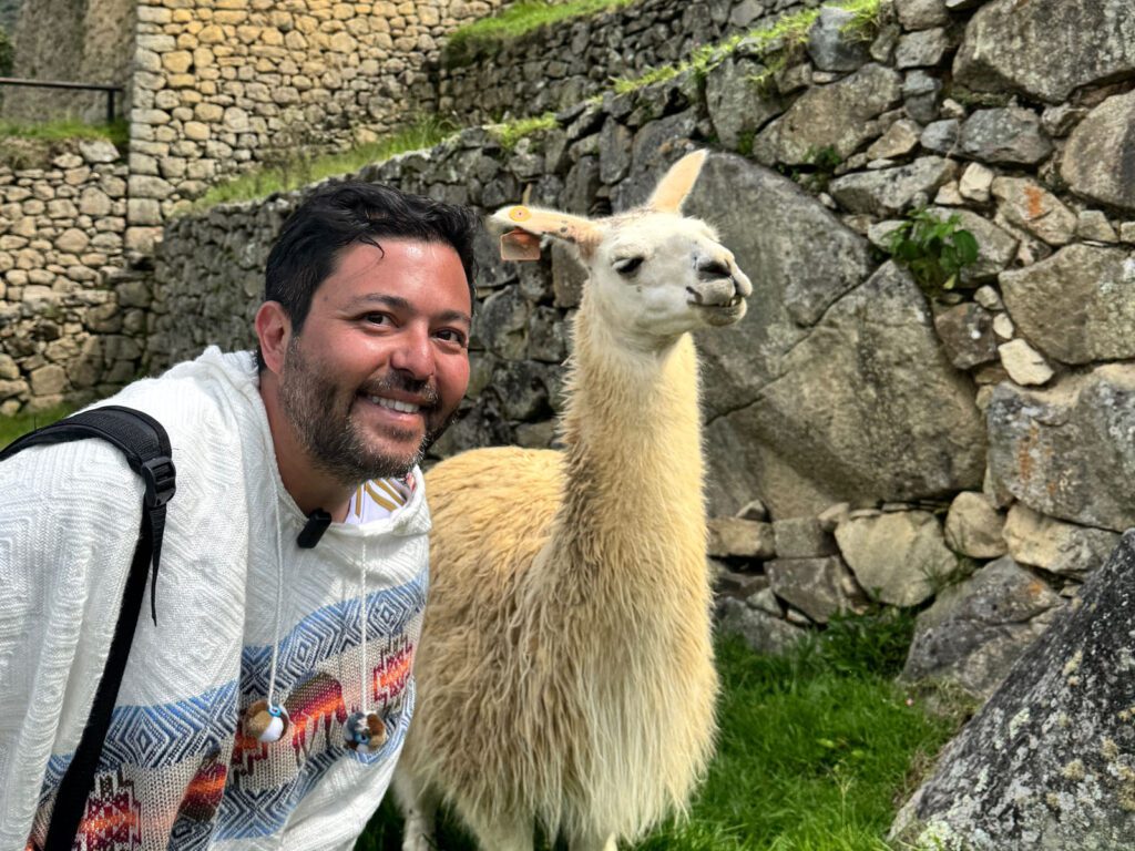 lhama machu picchu peru 3em3 