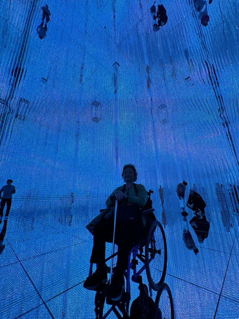 teamLab Borderless toquio tokyo japan japao 3em3