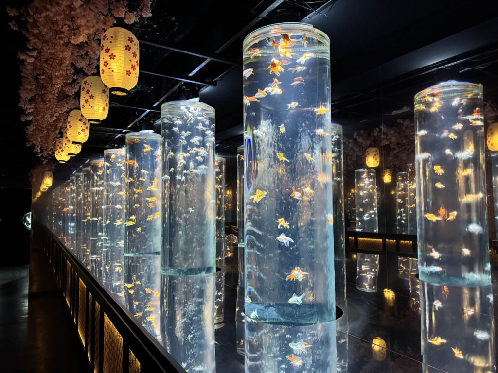 art aquarium museum museu arte aquario passeios em toquio tokyo japan japao 3em3