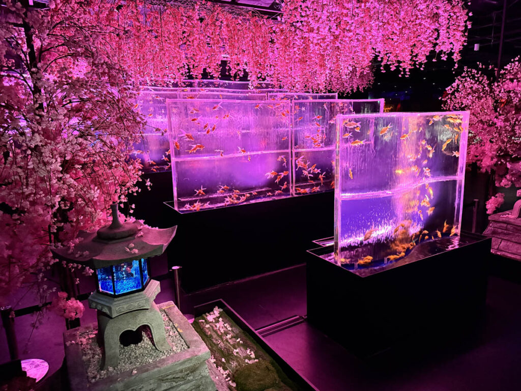 art aquarium museum museu arte aquario passeios em tóquio toquio tokyo japan japao 3em3