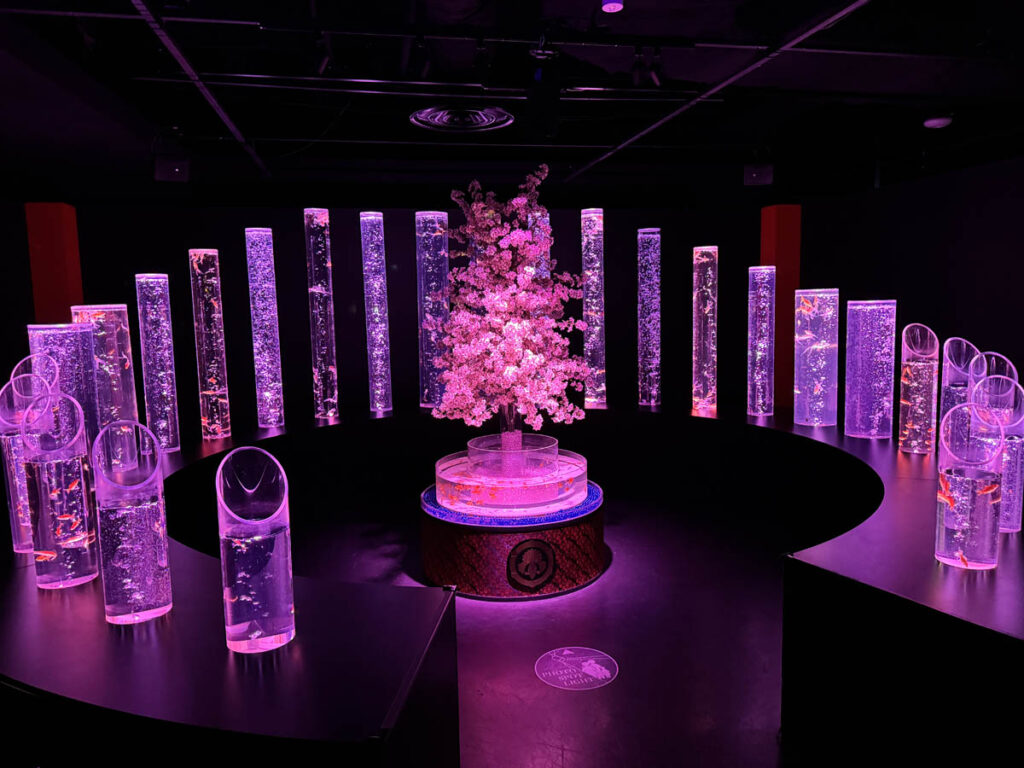 art aquarium museum museu arte aquario passeios em tóquio toquio tokyo japan japao 3em3