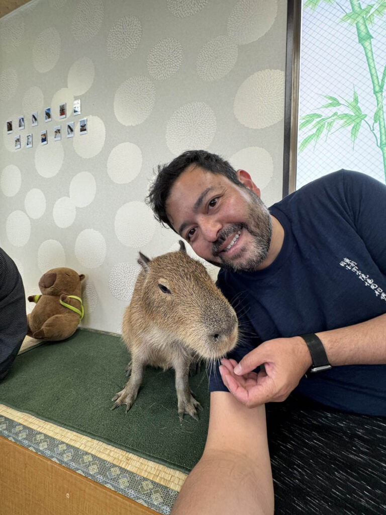 cappiness capivara capivaras capubara capybaras cafe passeios em tóquio toquio tokyo japan japao 3em3