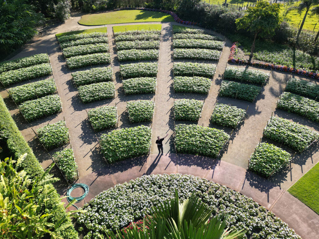 hemero jardins como arte joinville santa catarina 3em3