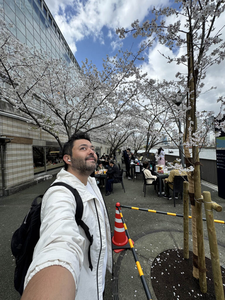 osaka japao japan cherry blossom flor cerejeira 3em3 