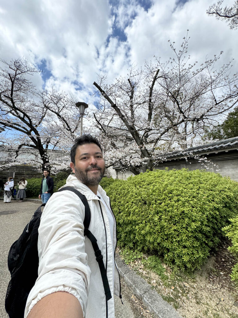 osaka japao japan cherry blossom flor cerejeira 3em3 