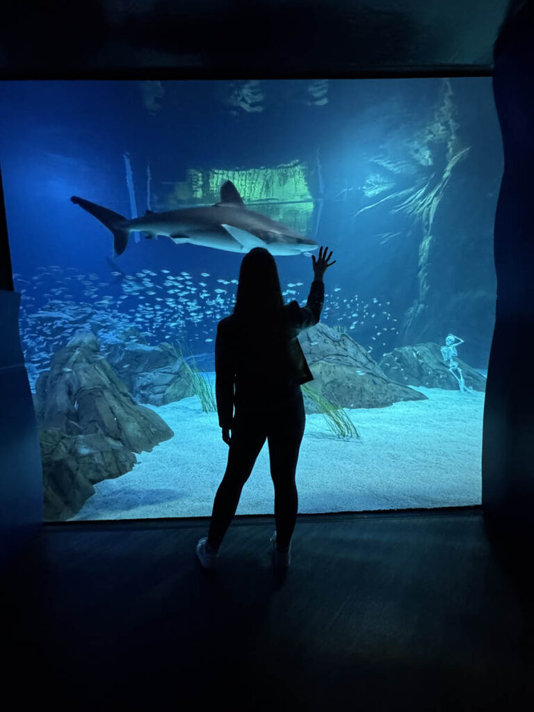 georgia aquarium aquario atlanta 3em3