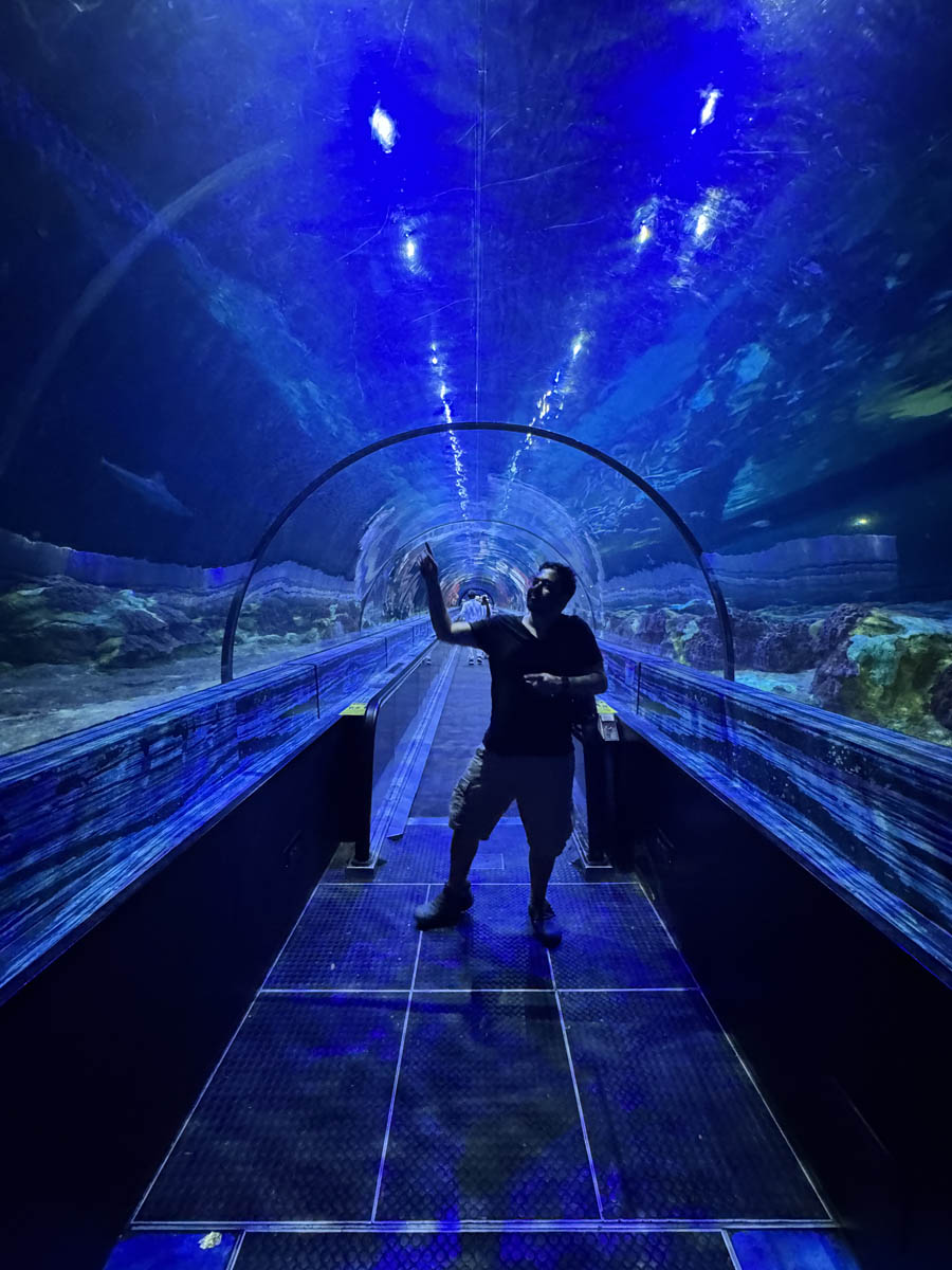 sea world seaworld orlando florida 3em3 shark encounter tubarao