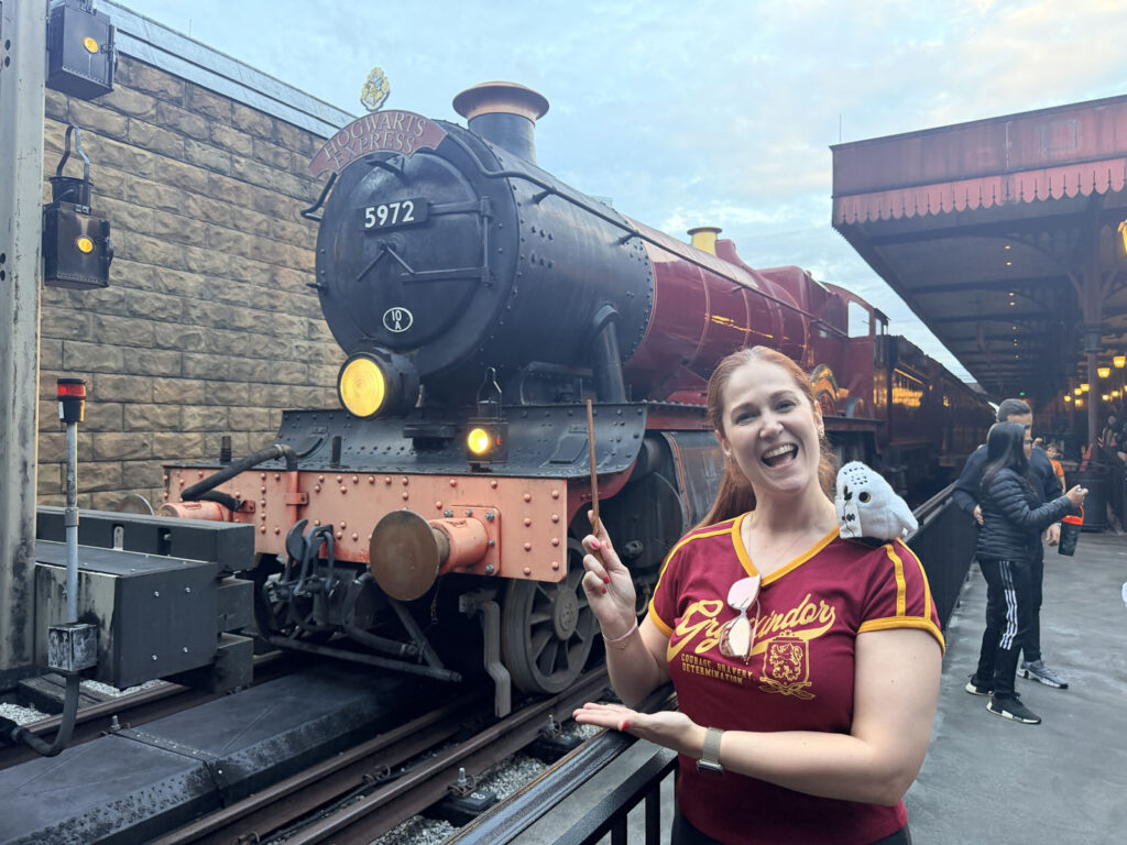 beco diagonal diagonal alley dragao dragon Harry Potter universal 3em3 expresso de Hogwarts express harry potter em orlando