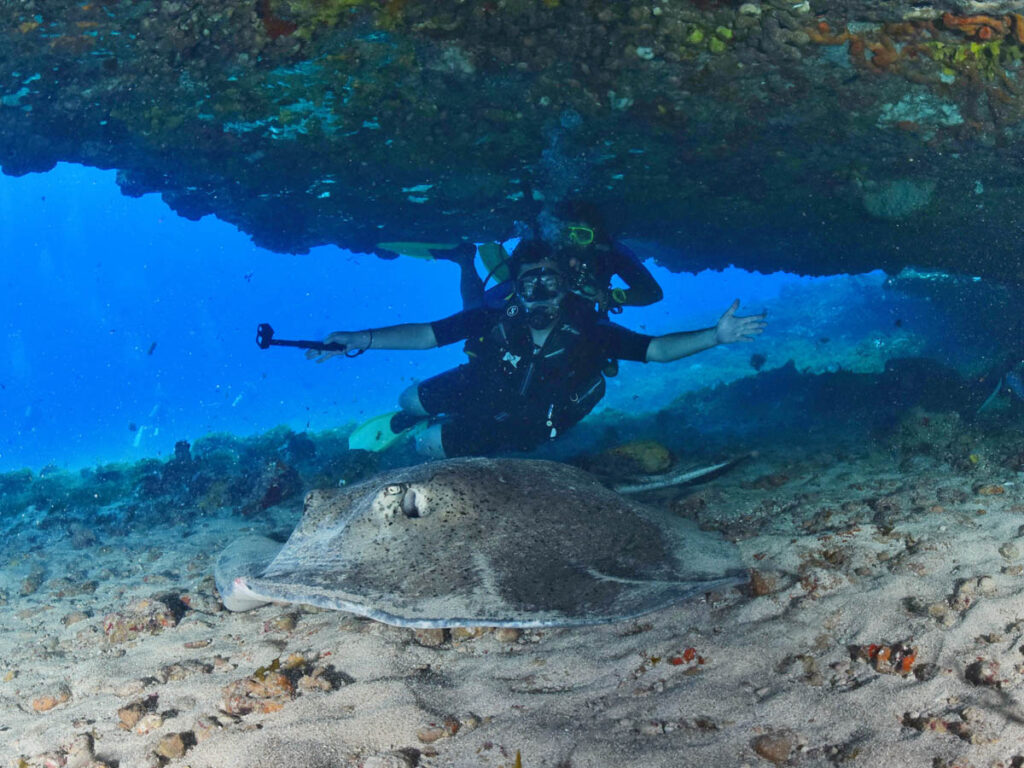 fernando de noronha pernambuco PE 3em3 atalaia mergulho batismo