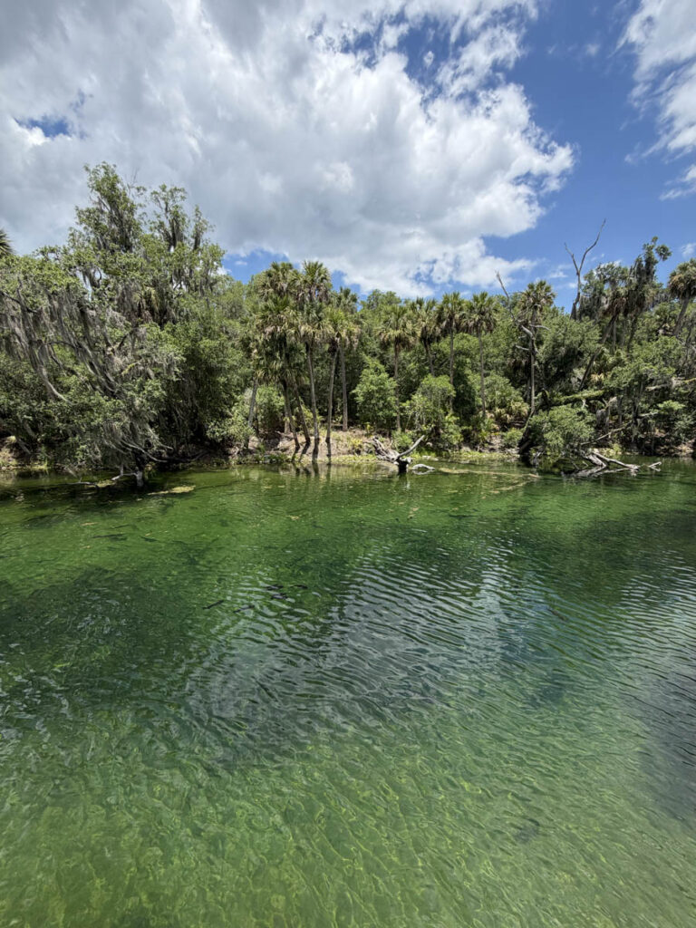 motorhome trips florida 3em3 blue spring park 