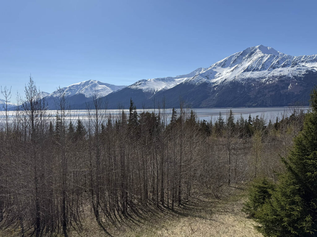 alaska alasca anchorage lake portage lago catamara bird point 907 tours