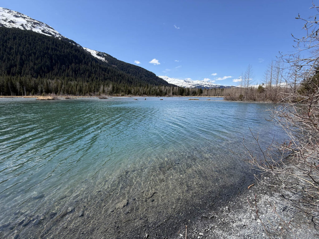 alaska alasca anchorage lake portage lago catamara 907 tours