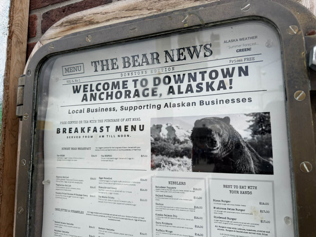 alaska alasca anchorage bear urso 3em3